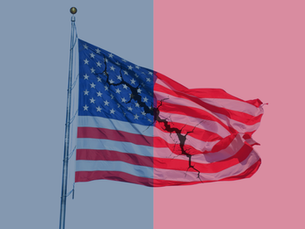 With Americans seemingly split on fundamental aspects of their lives, is political violence brewing? 