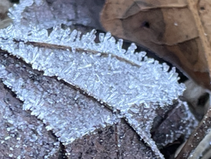 PHOTO ESSAY: The Best Photos Of The Week (Online Classes)