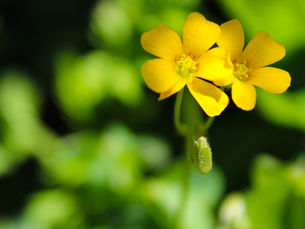 Photo Gallery: Spring Has Sprung